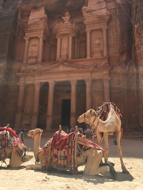 In Petra