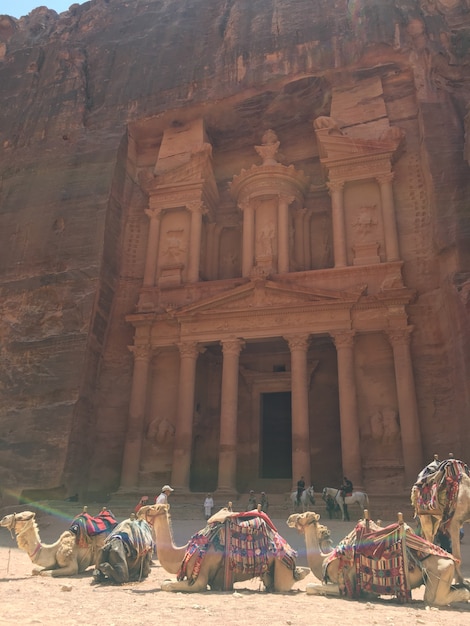 In Petra