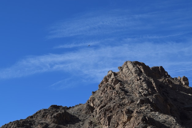 In tiefem Blau fliegen