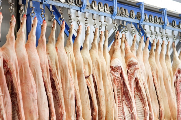 In zwei Hälften geschnittene Schweineschlachtkörper, die im Kühlschrankraum der Lebensmittelverarbeitungsanlage gelagert werden.