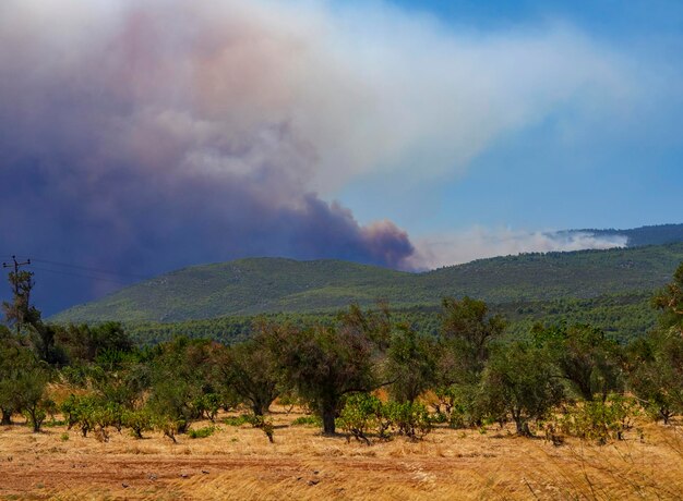 Incêndio de verão com grande fumaça nas montanhas em uma vila grega na ilha Evia Grécia