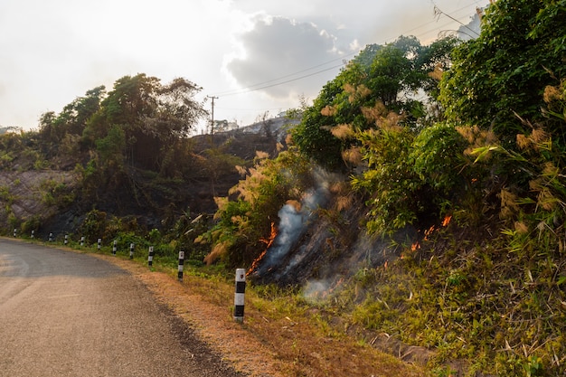 Incêndio florestal de verão no laos