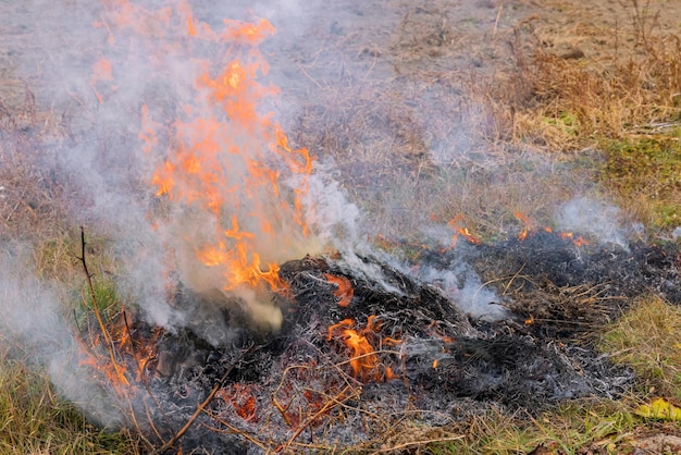 Incendio forestal en el campo después de la cosecha de pasto seco quemado prado debido al enriquecimiento del suelo con fertilizante de ceniza natural y contaminación ambiental
