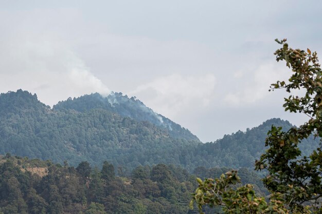 Incendio forestal en un día nublado