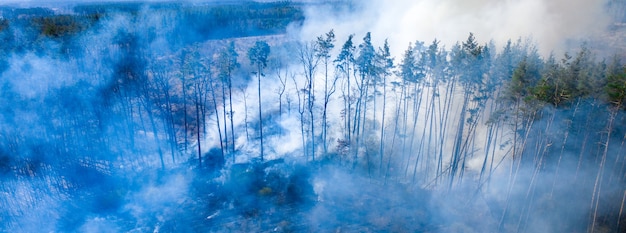 Incendio forestal masivo. Una gran área está envuelta en llamas. Vista desde el avión no tripulado en un incendio forestal.