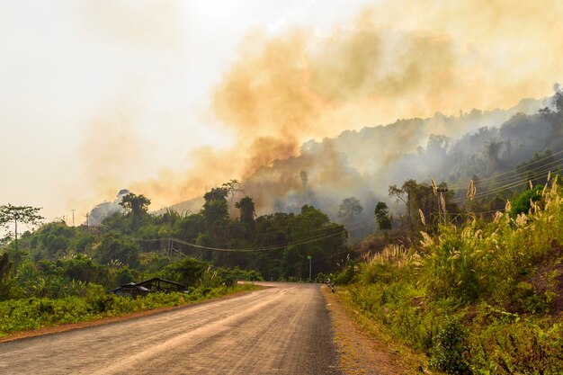 Incendio forestal de verano en laos