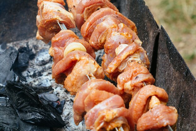 Incendio, llamas de brasas de madera para parrilla o picnic de barbacoa.