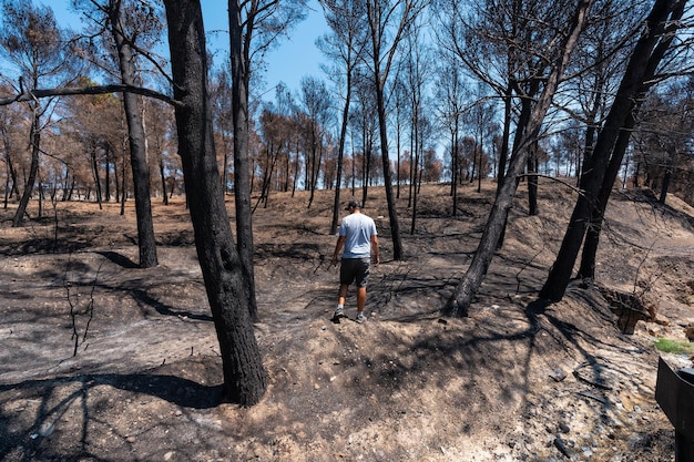 Incêndio um jovem caminhando por uma floresta queimada em um incêndio florestal mudança climática seca verão