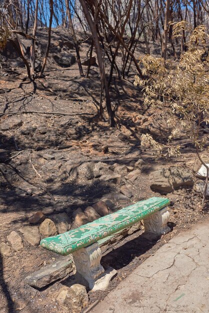 Incêndios florestais Destruição por natureza