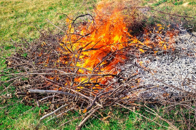 Incineração de resíduos em chalés de verão. Os galhos secos das árvores queimam com uma chama brilhante. Perigo de incêndio.