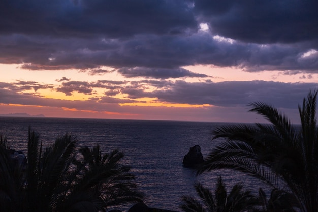 Increíble amanecer con hermoso cielo rosa con nubes palmeras y océano en la isla de Madeira Hermosa vista al mar al amanecer