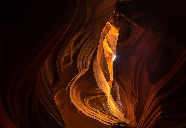 Increíble cañón en Arizona, antílope