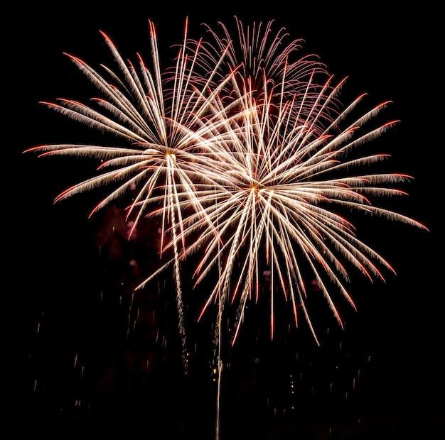 Increíble hermoso fuego artificial sobre fondo negro para celebración aniversario feliz nochebuena y feliz año nuevo