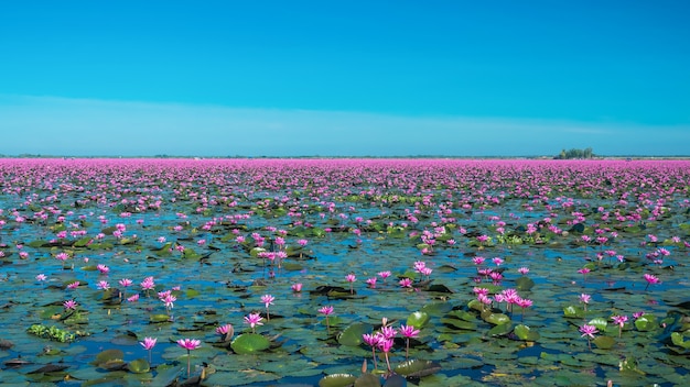 Increíble lago de agua roja