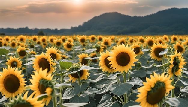 Foto increíble mejor maravilloso esta foto tomar esta foto para su trabajo ai generado top hermosa foto