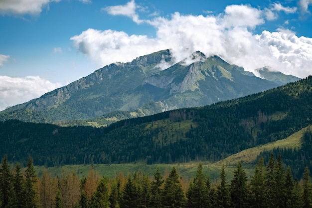 Foto increíble naturaleza verano en las montañas viajes y caminatas