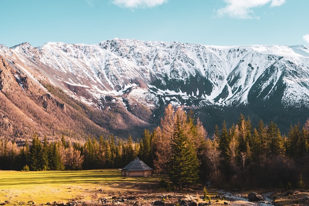 Increíble paisaje con árboles en el fondo de los picos cubiertos de nieve de las montañas de Altai