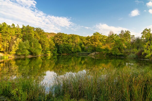 Increíble paisaje de lago rodeado de bosque