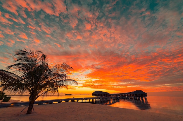 Increíble paisaje de Maldivas con villas de agua y palmeras mar puesta de sol cielo sueño vacaciones viajes