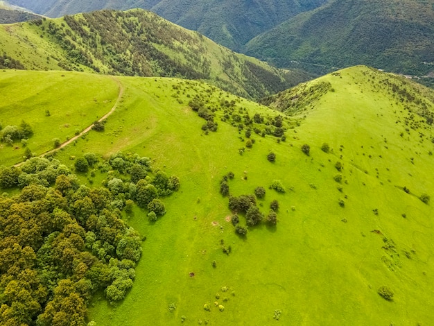 Increíble paisaje de montaña. Hermosos campos verdes. Vista aérea