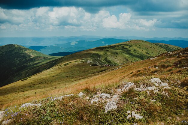 Increíble paisaje con montañas y bosque.