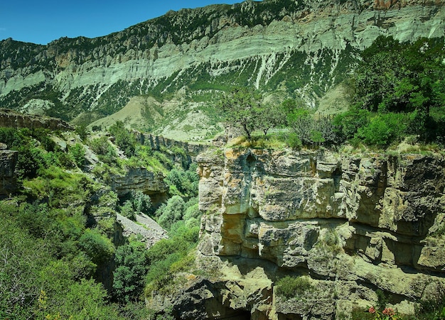 Increíble paisaje de verano en las montañas del Cáucaso