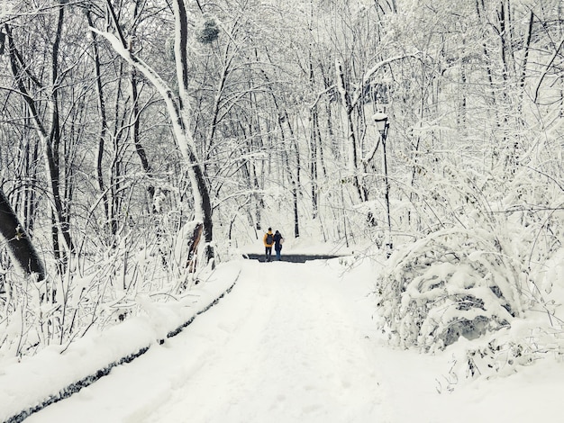 Increíble parque de la ciudad de invierno de cuento de hadas cubierto de nieve, fondo estacional de Navidad. Parque Mariinsky en Kiev, Ucrania con pareja romántica.