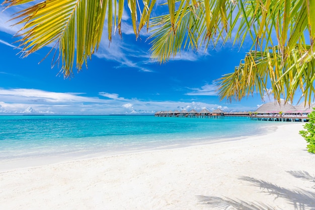 Increíble patrón de naturaleza tropical en las islas Maldivas, villas de agua, hojas de palma con playa de arena blanca