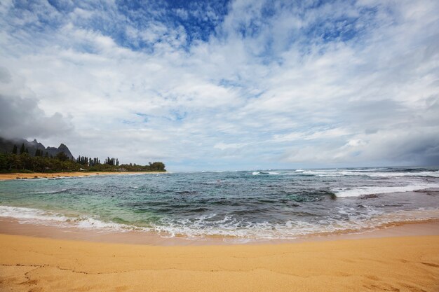 Increíble playa hawaiana