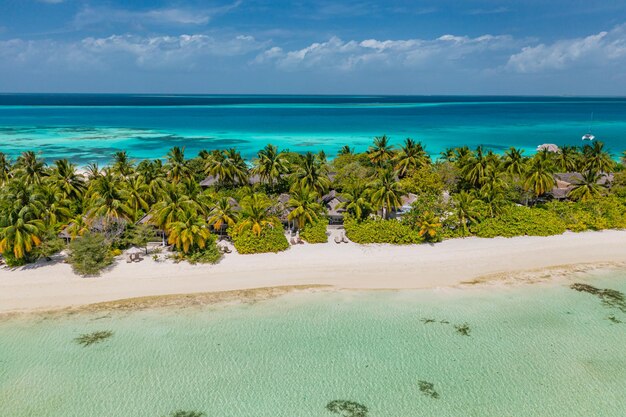 Foto increíble playa de la isla maldivas vista desde el aire tranquilo paisaje tropical costa con palmeras