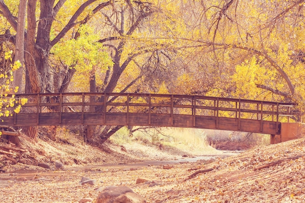 Increíble puente de madera en el bosque de otoño