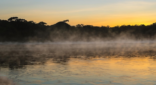 increíble río amazonas con niebla en un amanecer