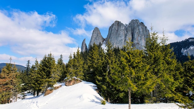 Increíble roca monumental escondida en la vegetación de las montañas en temporada de invierno