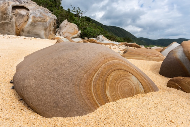 Increíble roca con un patrón circular en su superficie rodeada de arena de playa Isla Iriomote