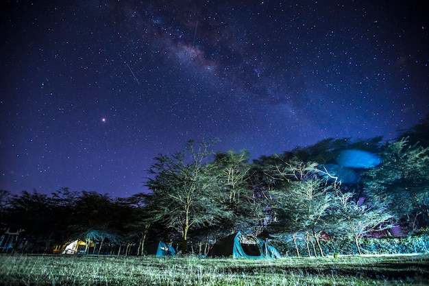 Increíble Vía Láctea de verano en el campamento del lago Naivasha Kenia