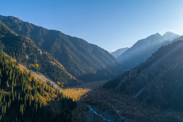 Increíble vista aérea de los Alpes Dolomitas en un día soleado de otoño con alerces amarillos debajo y valle cubierto por niebla y picos de alta montaña detrás.