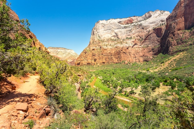 Increíble vista del cañón en el Parque Nacional Zion
