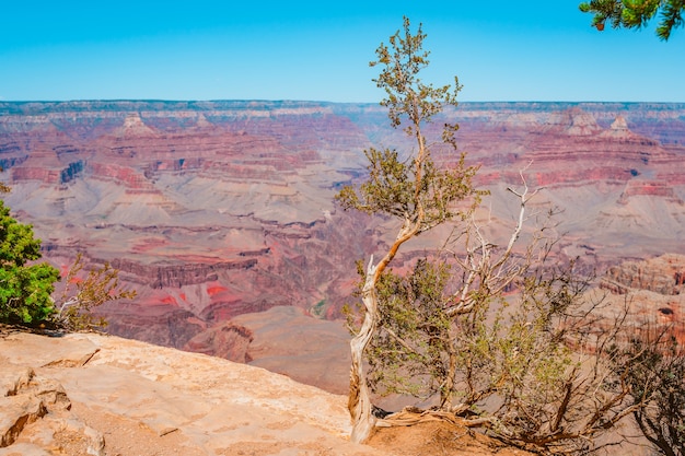 Increíble vista del Gran Cañón en Arizona, EE.