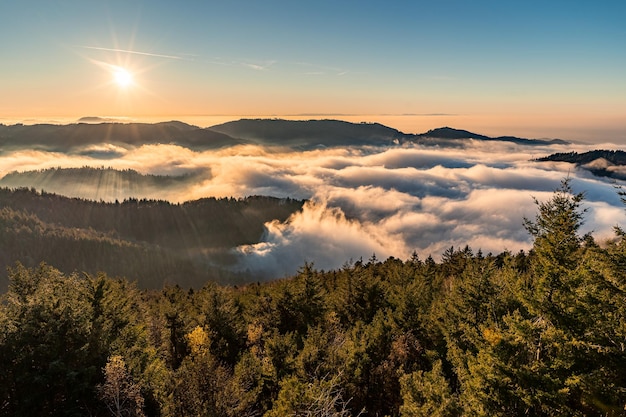 Increíble vista de las montañas de la Selva Negra con niebla en el suelo en el valle al atardecer, Alemania