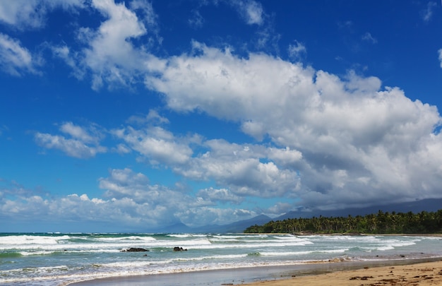 Increíble vista panorámica de la bahía del mar y las islas de montaña, Palawan, Filipinas