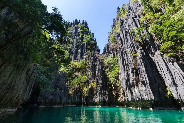 Increíble vista panorámica de la bahía del mar y las islas de montaña, Palawan, Filipinas