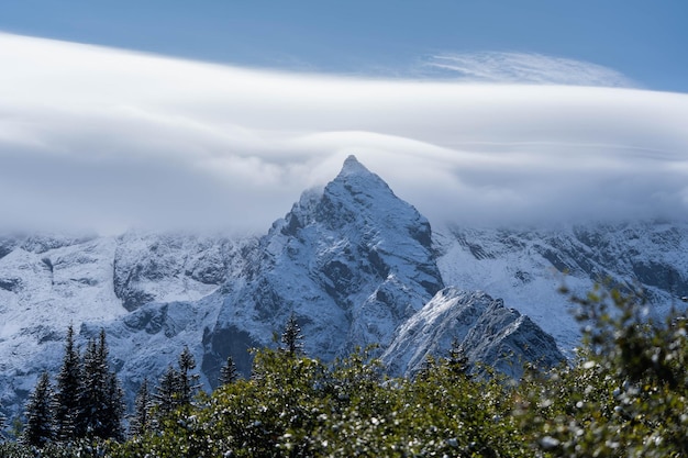 Increíblemente hermosos picos de montañas nevadas increíble vida salvaje