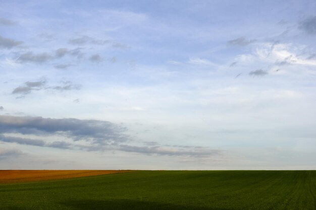 Increíbles campos de paisaje verde plano con nubes suaves