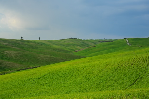 Increíbles colinas onduladas Toscana Italia