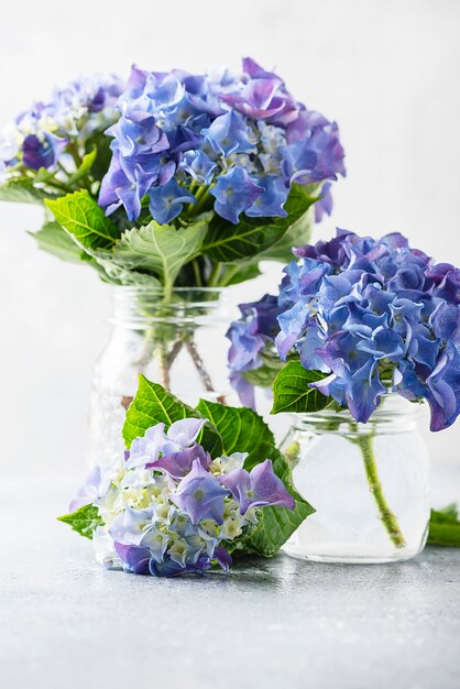 Increíbles flores de hortensia azul