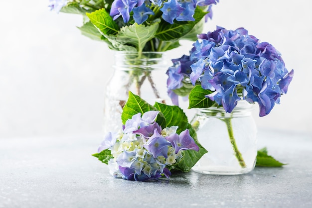 Increíbles flores de hortensia azul