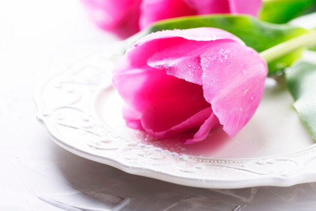 Increíbles tulipanes rosados en el fondo de piedra