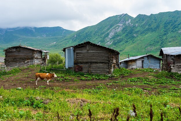 Foto incríveis paisagens montanhosas e montanhosas de arsiyan. savsat, artvin - turquia