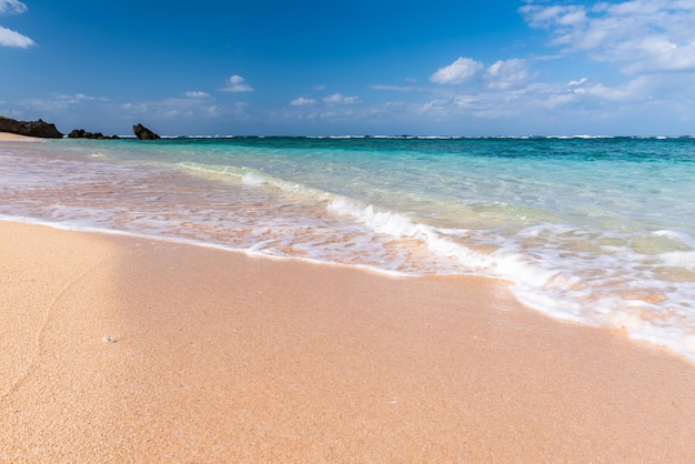 Foto incrível água do mar cristalina turquesa em uma praia paradisíaca em um dia ensolarado