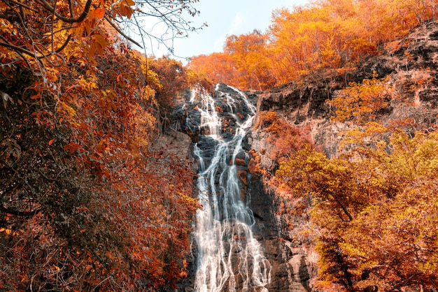 incrível cachoeira nas montanhas de outono